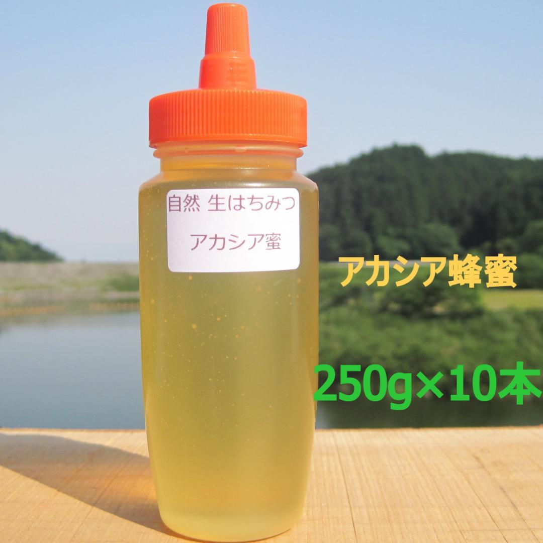 ♦️アカシア蜜１０本　生はちみつ　自家製蜂蜜