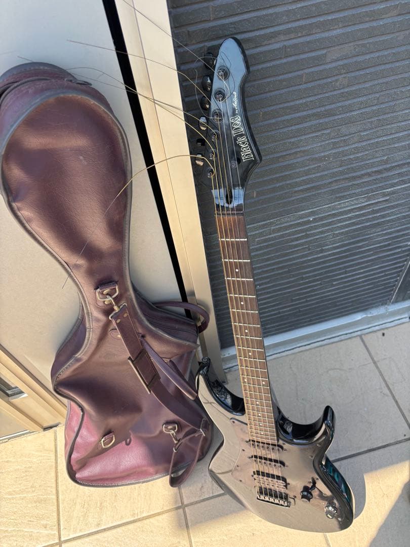 Black Dog by Aria pro Ⅱ