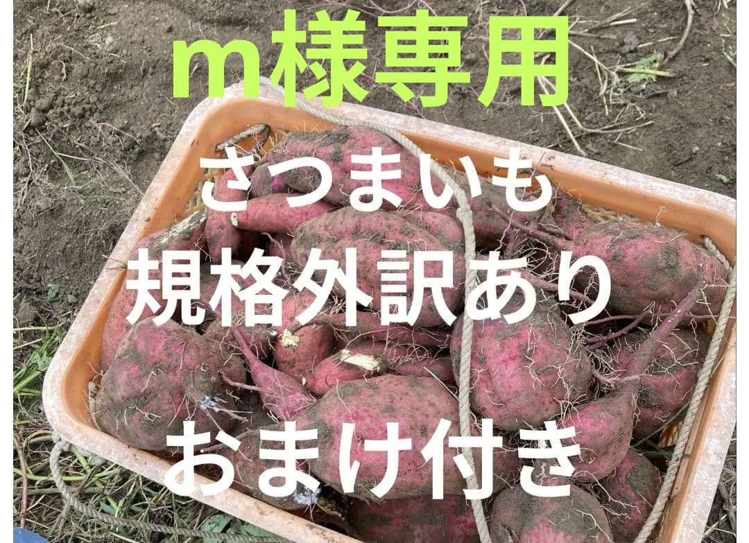 mさつまいも規格外訳ありおまけ付き箱込み２０キロ以下