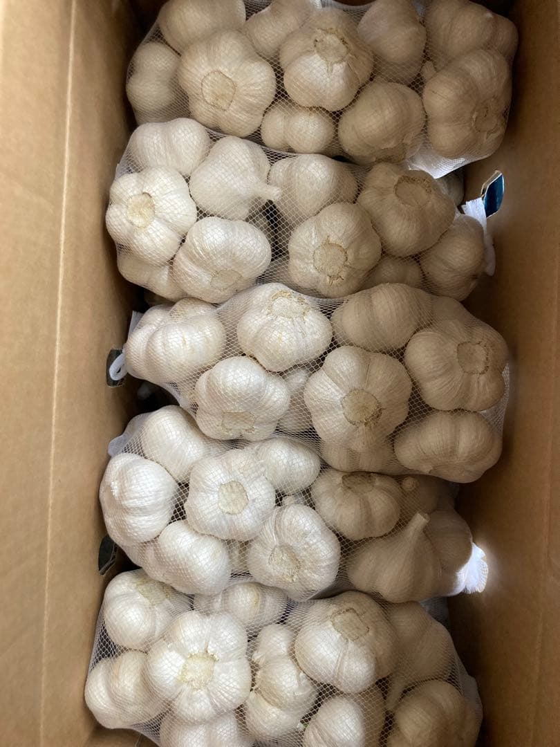専用 20k
