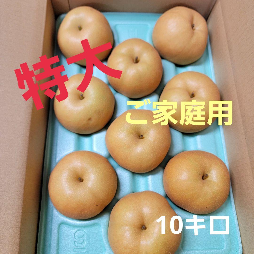 南水特大ご家庭用10キロ
