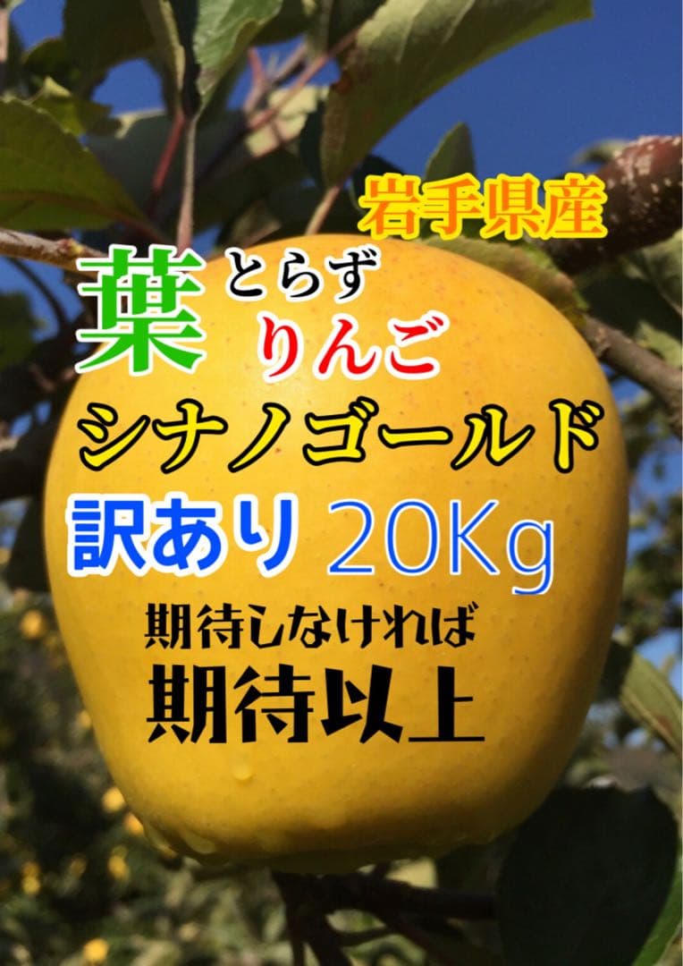 【訳あり】葉とらずりんご シナノゴールド20kg×4箱