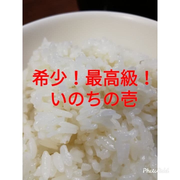 ☆蓮☆！いのちの壱玄米29キロ！小分け6袋！