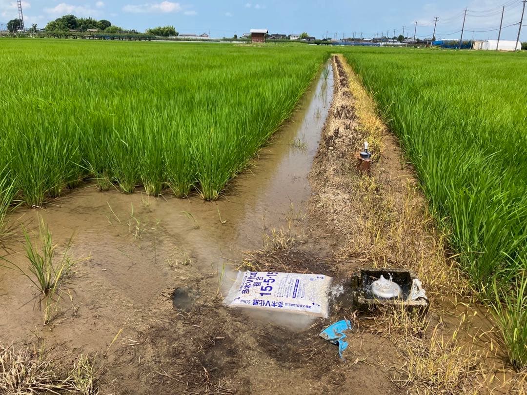R7年産特別栽培 新潟の高級米 新之助 30㌔ 玄米 田植え後農薬は除草剤のみ