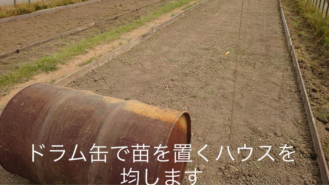 R7年産特別栽培 新潟の高級米 新之助 30㌔ 玄米 田植え後農薬は除草剤のみ