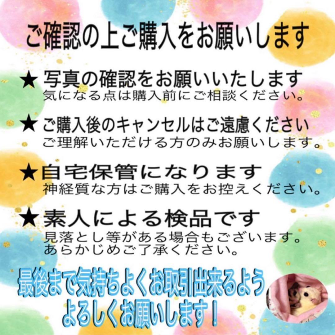 希少 デジモンテイマーズ リアルフィギュア 5種