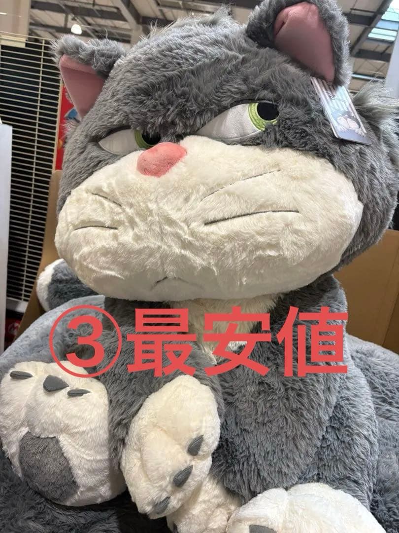センペイ