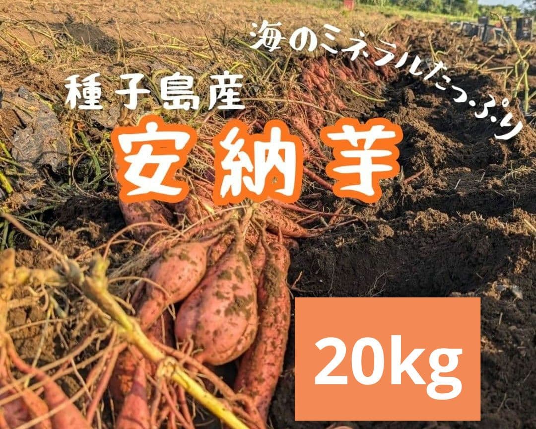 ユッキー