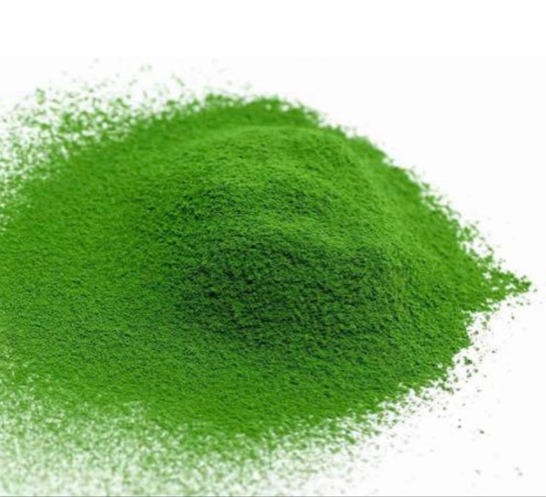丸久小山園　抹茶　千木の白100g×４袋