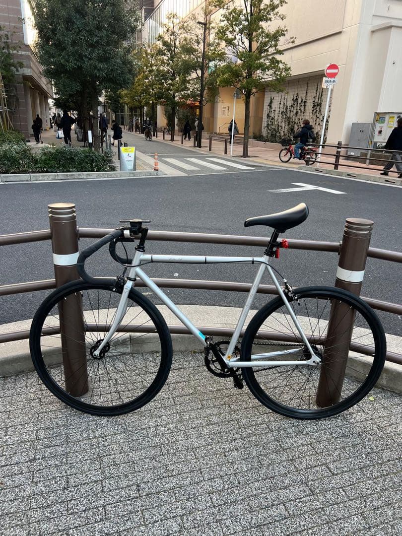 FUJI FEATHER シルバー