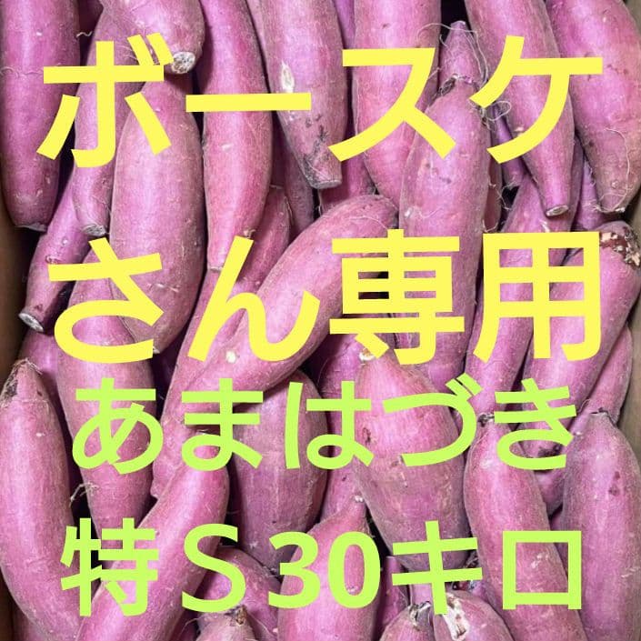 ボースケさん専用　30キロ
