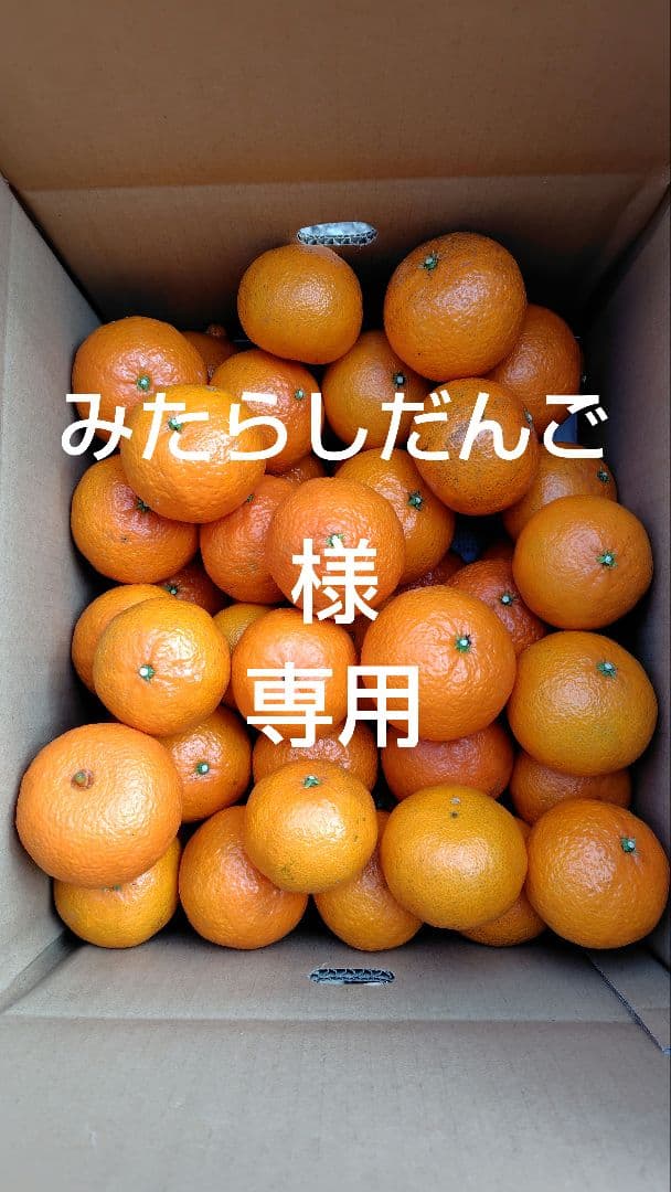 津之輝20㎏(家庭用)みたらしだんご#2