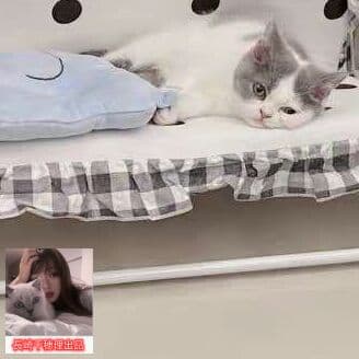 ングチェア用の小型犬や猫グッズのぬいぐるみを解体することができる7