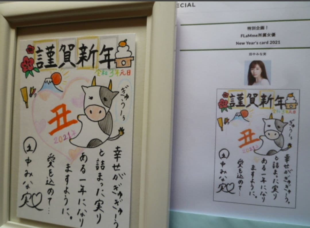 非売品 注プレ1名当選 超お宝 田中みな実 全直筆サイン 年賀状 永久保存版