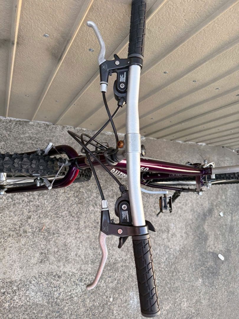 自転車本体 Raleigh USA