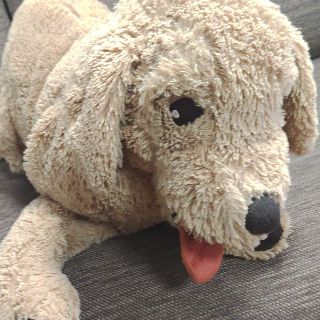 IKEA　犬
