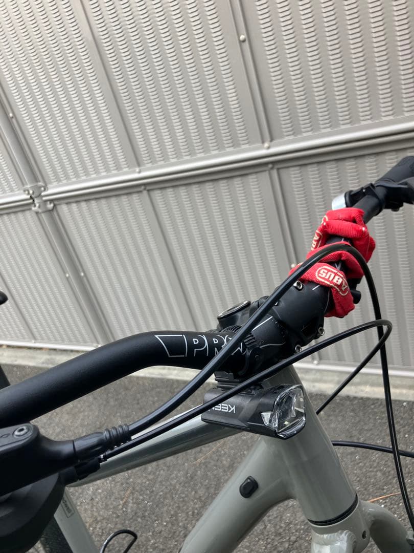 キャノンデール　treadwell2