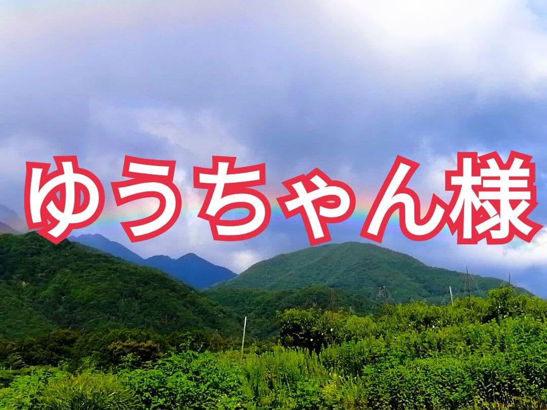 ゆうちゃん様　とろとろ枯露柿　甲州百目　大和百目　干し柿　あんぽ柿