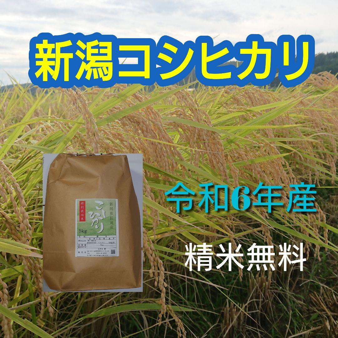 農家直送！新潟コシヒカリ玄米10kg