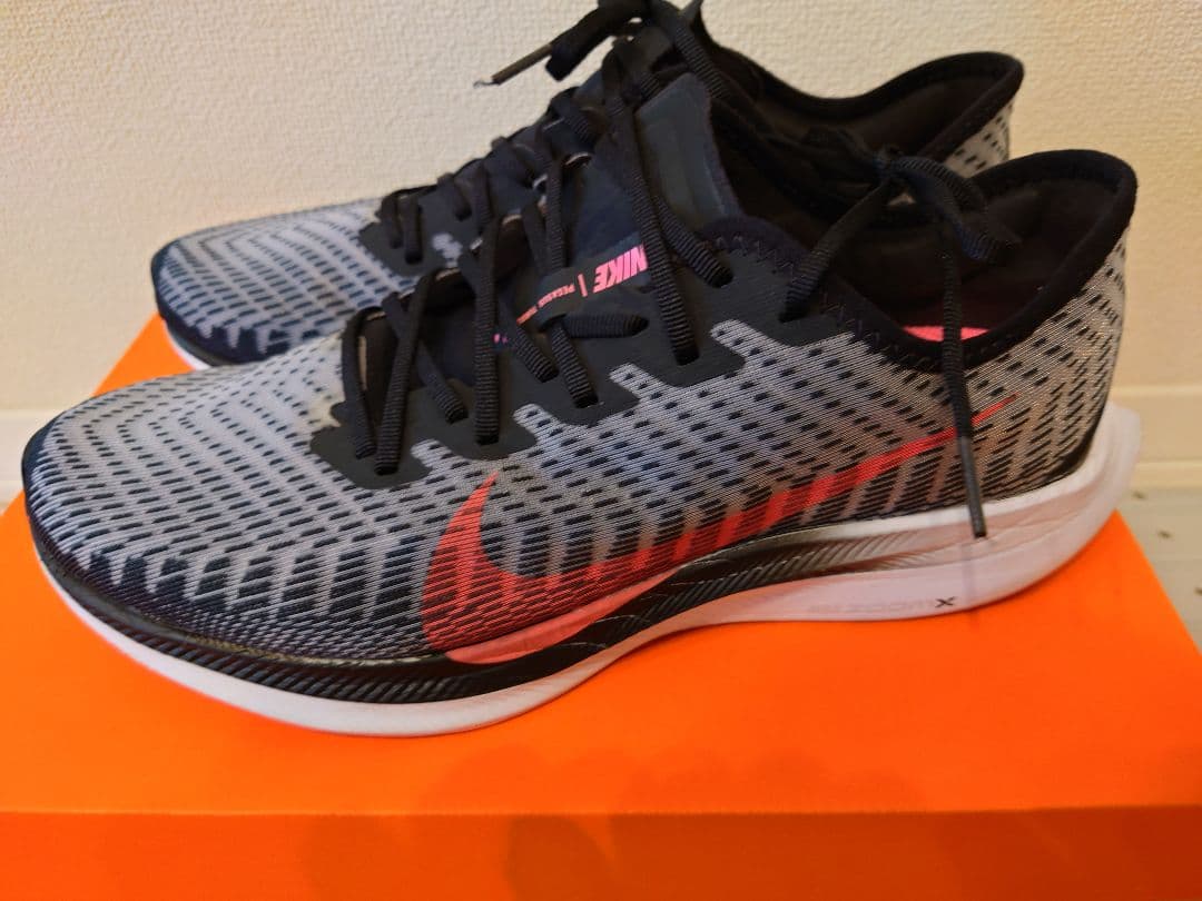 NIKE ナイキ pegasus tube2 27.5cm 中古
