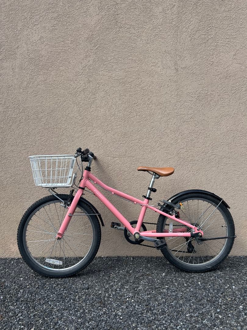 【きち】コーダーブルーム　asson j22 アッソン