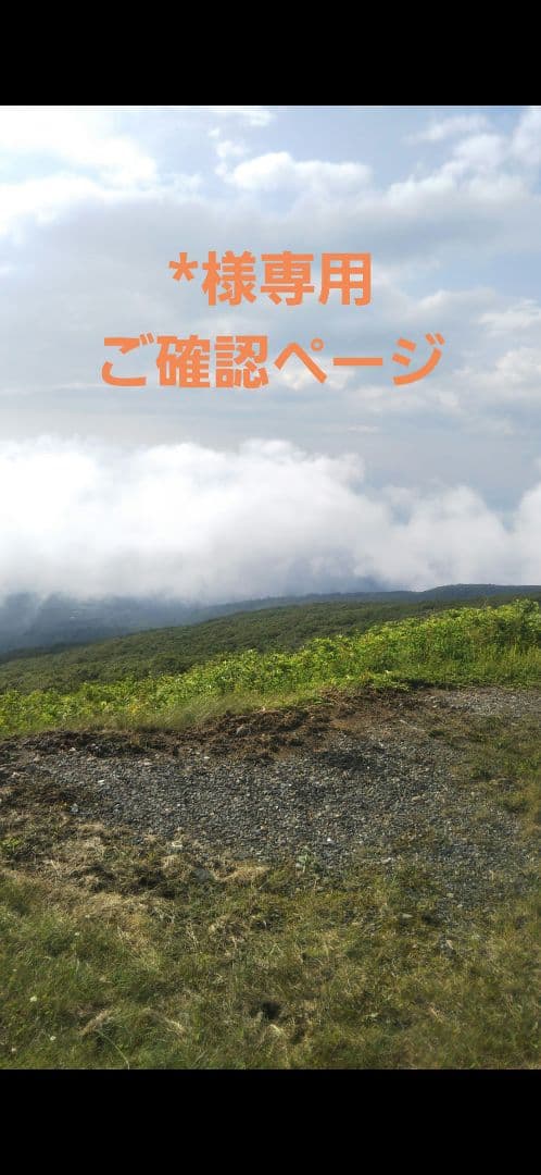 呪術廻戦　*ご確認ページ