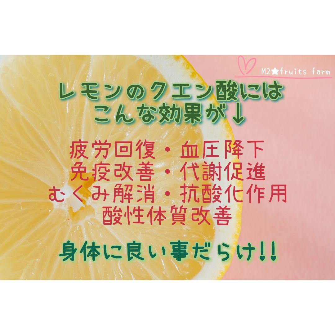 【ꕤ452】熊本県産 赤姫レモン 20kg（国産レモン）