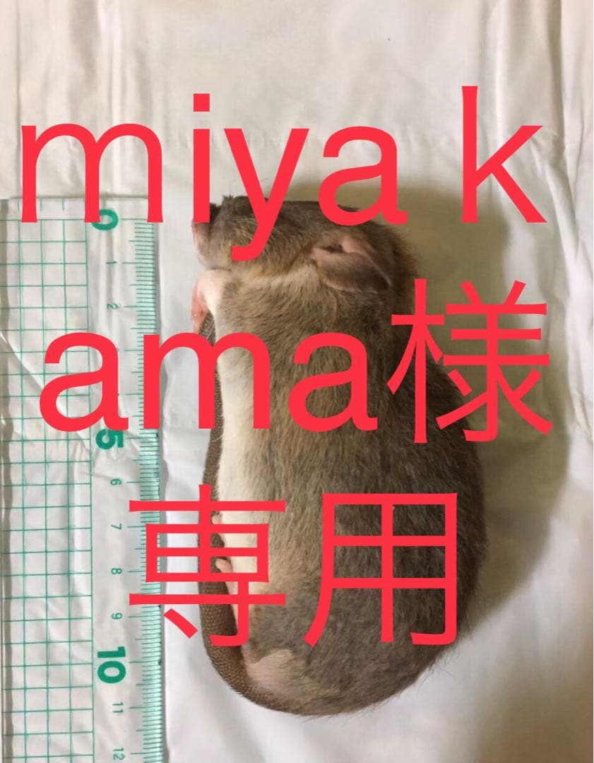 冷凍ML200 SM100