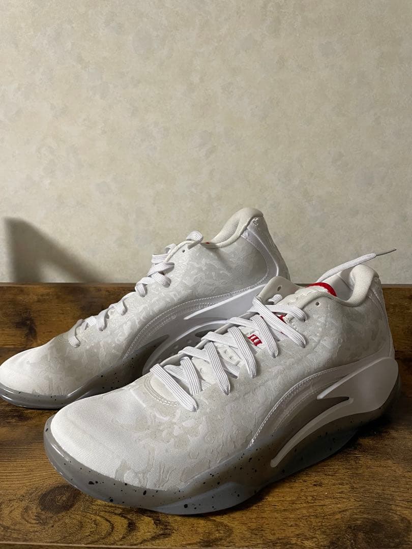 【新品・未使用】NIKE JORDAN ZION 3 PF バッシュ 迷彩　白