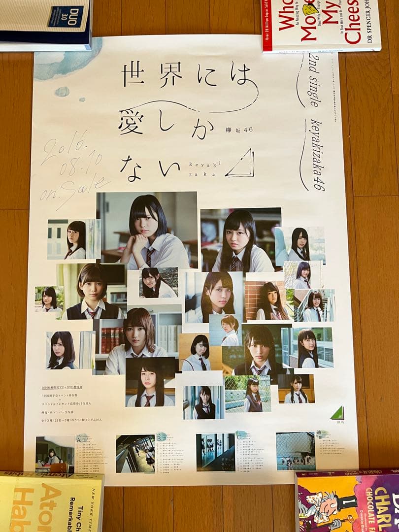 欅坂46 世界には愛しかない 販促用B2ポスター