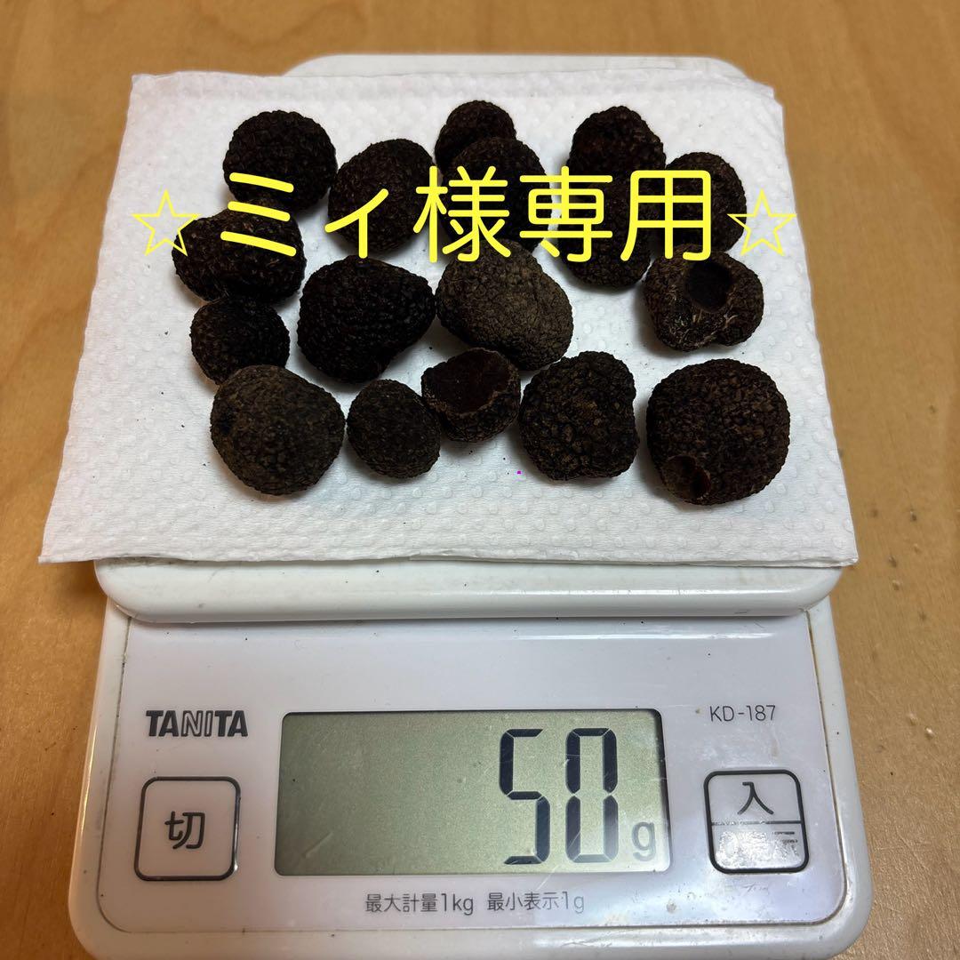 ⭐︎ミィ⭐︎ 神奈川県産　黒トリュフ　166g
