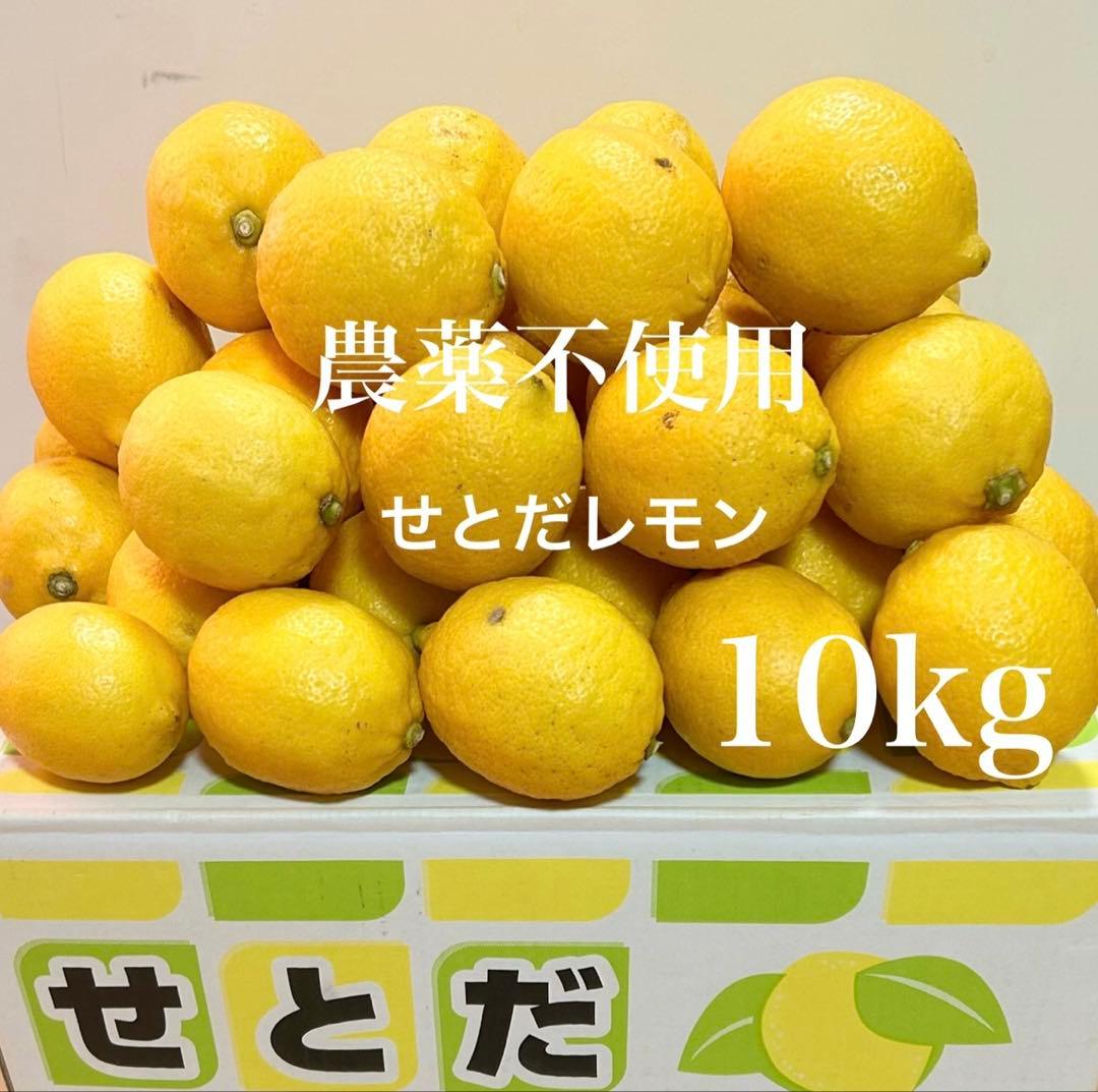 9国産瀬戸田レモン10kg前後