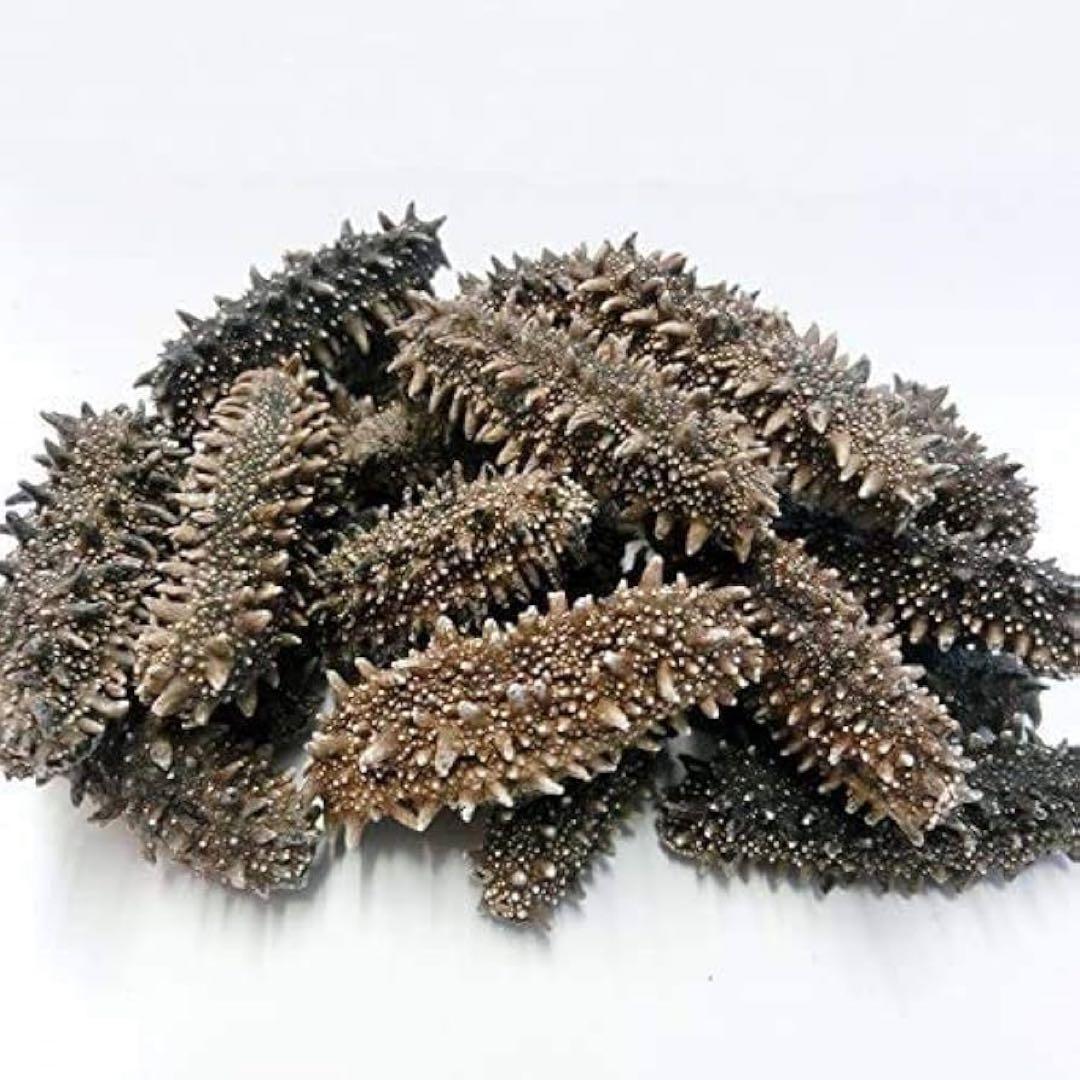 【北海道産】 乾燥なまこ 厳選A級品 100g Mサイズ　5.0g-7.0g