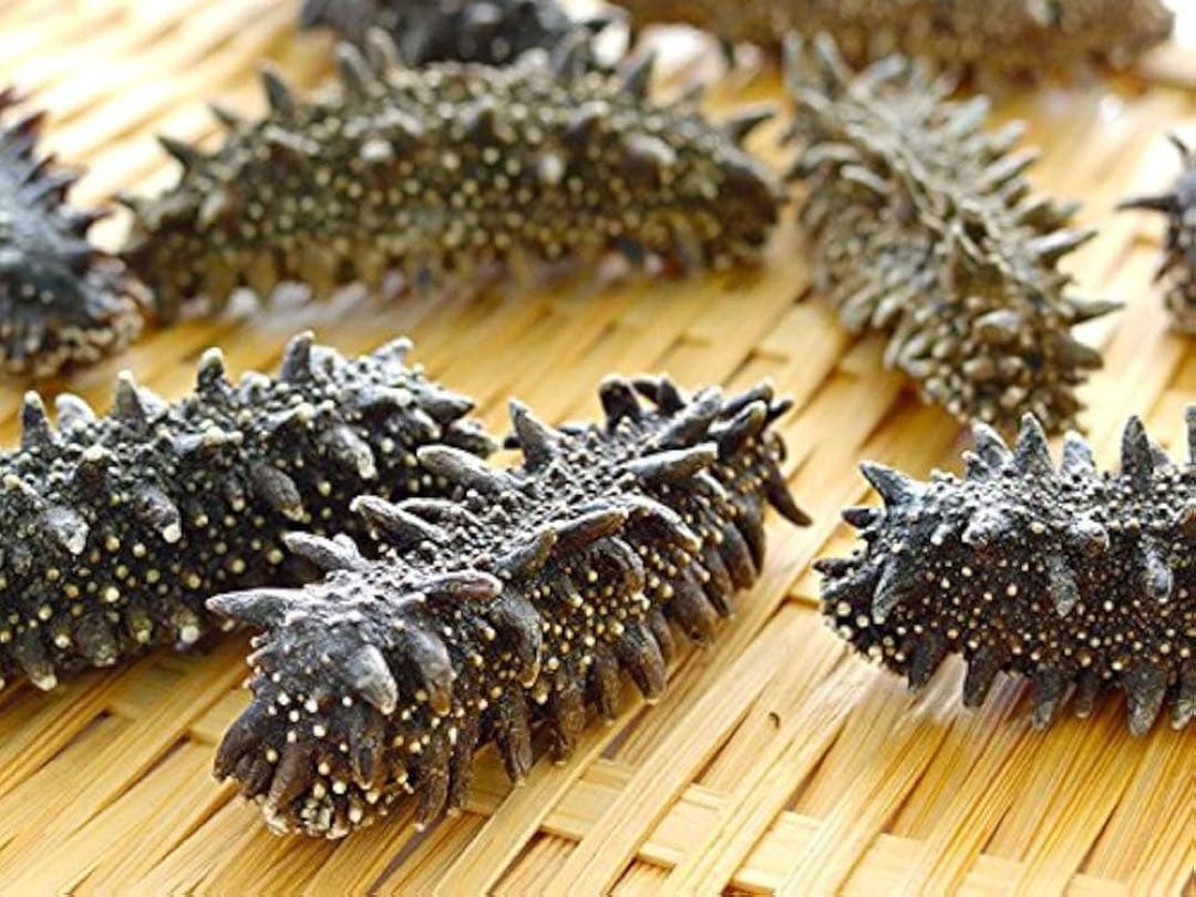 【北海道産】 乾燥なまこ 厳選A級品 100g Mサイズ　5.0g-7.0g
