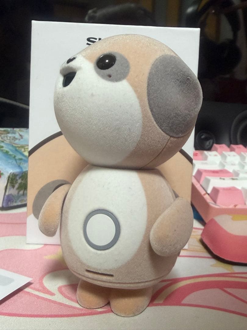 ポケとも