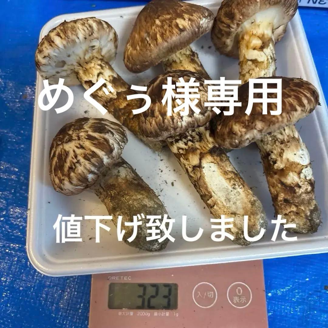 岩手県 宮古産　松茸