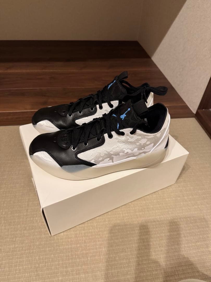 シューズ(男性用) NIKE Air Jordan 39
