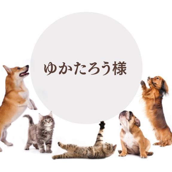 専用ぺージ