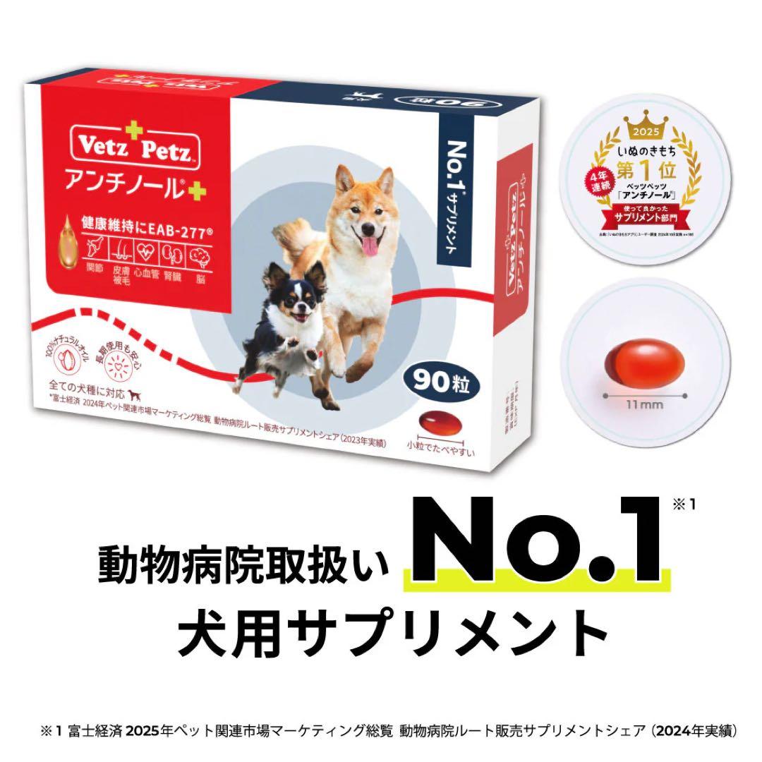 即日発送　アンチノールプラス 90粒