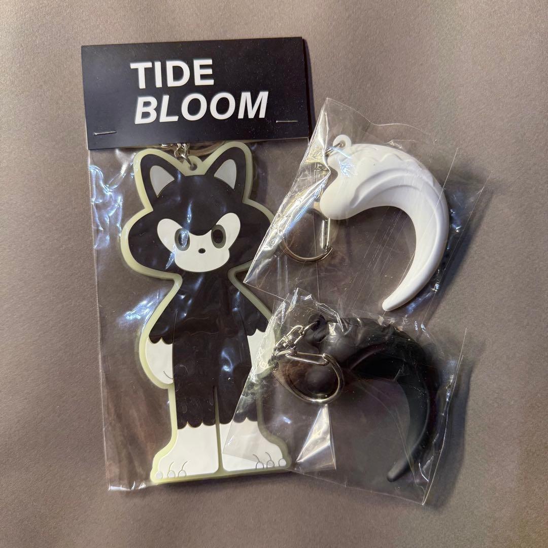 TIDE イデタツヒロ キーホルダー idetatsuhiro HENKYO