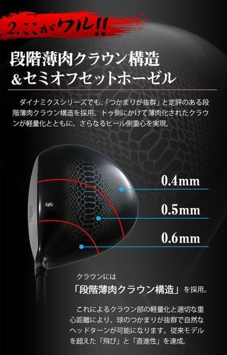 ヘッド単品： ドクロ輝くワル専用! 実質高反発の激飛び適合! ダイナゴルフ 悪童