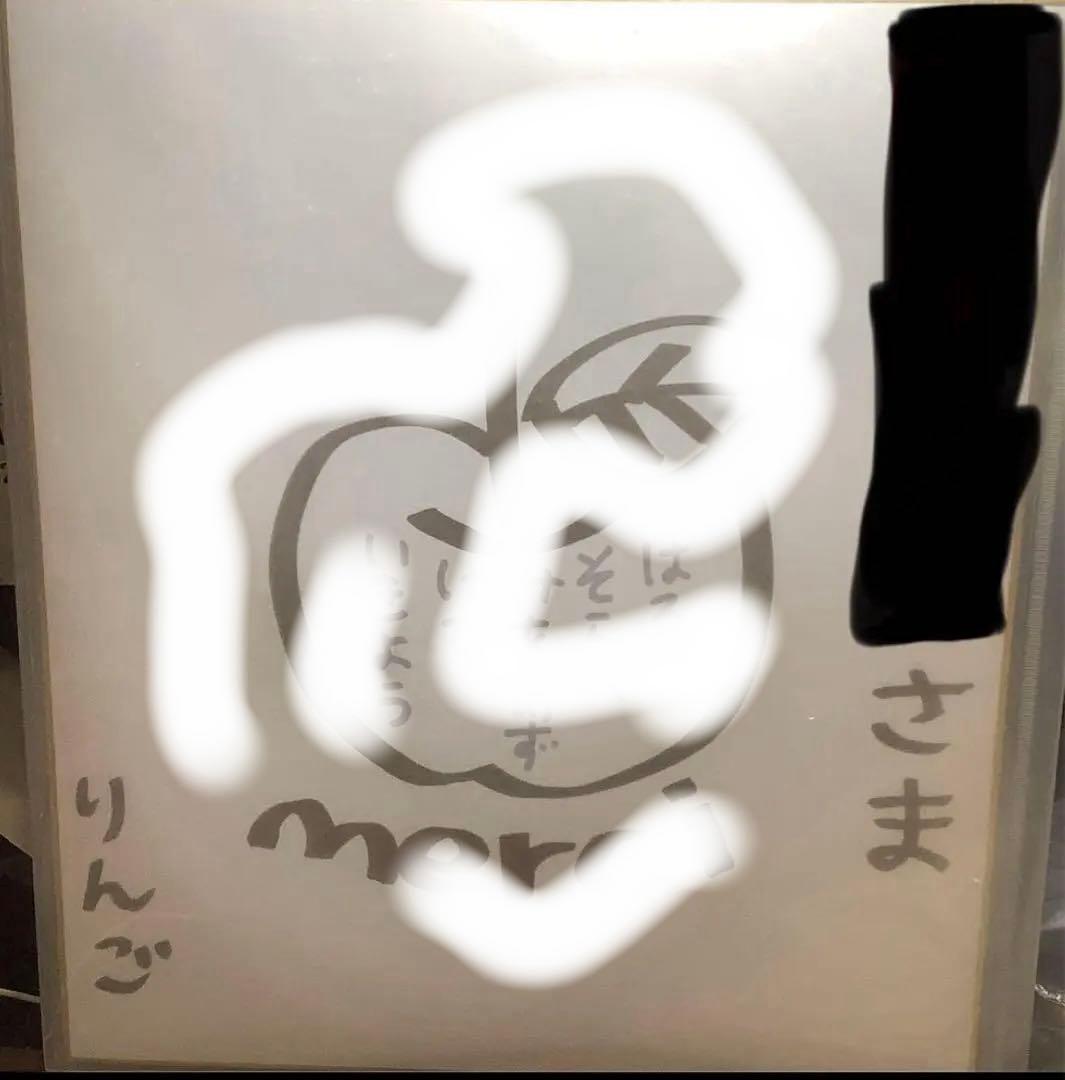 【非売品】椎名林檎　直筆　サイン色紙　芳名入り　デビュー当時