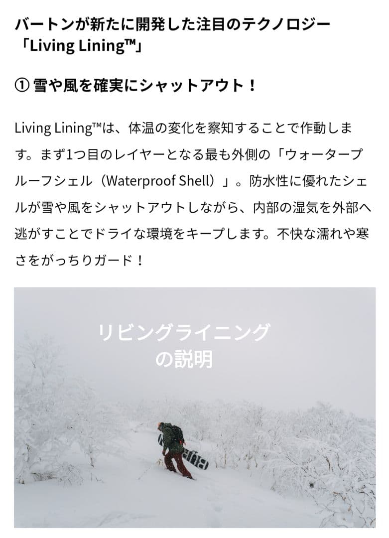 最高級　GORE-TEX　 BURTON　AK サイクリック