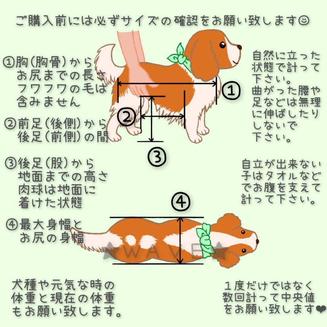 りんたろう　犬用車椅子　犬の歩行器　歩行補助　犬の車いす　柴犬　中型犬