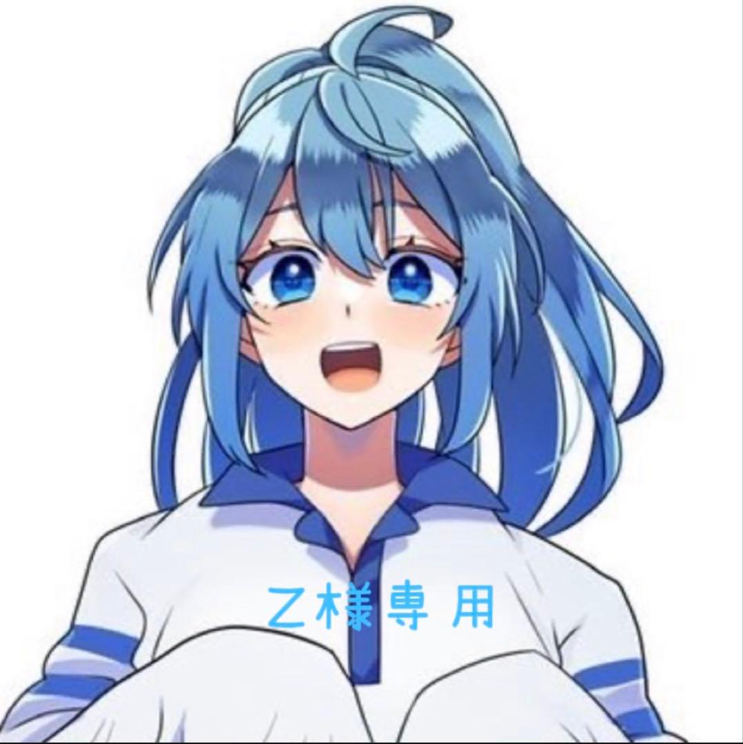 その他 z