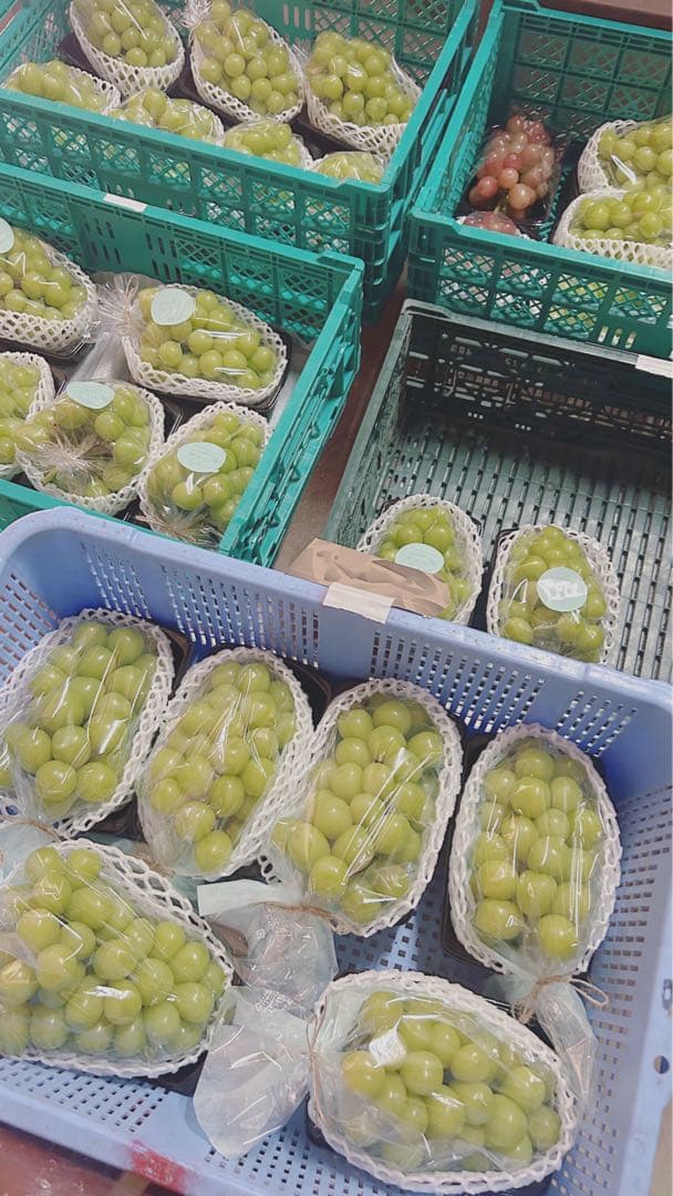 CocoRo♡farm シャインマスカット 3Kg