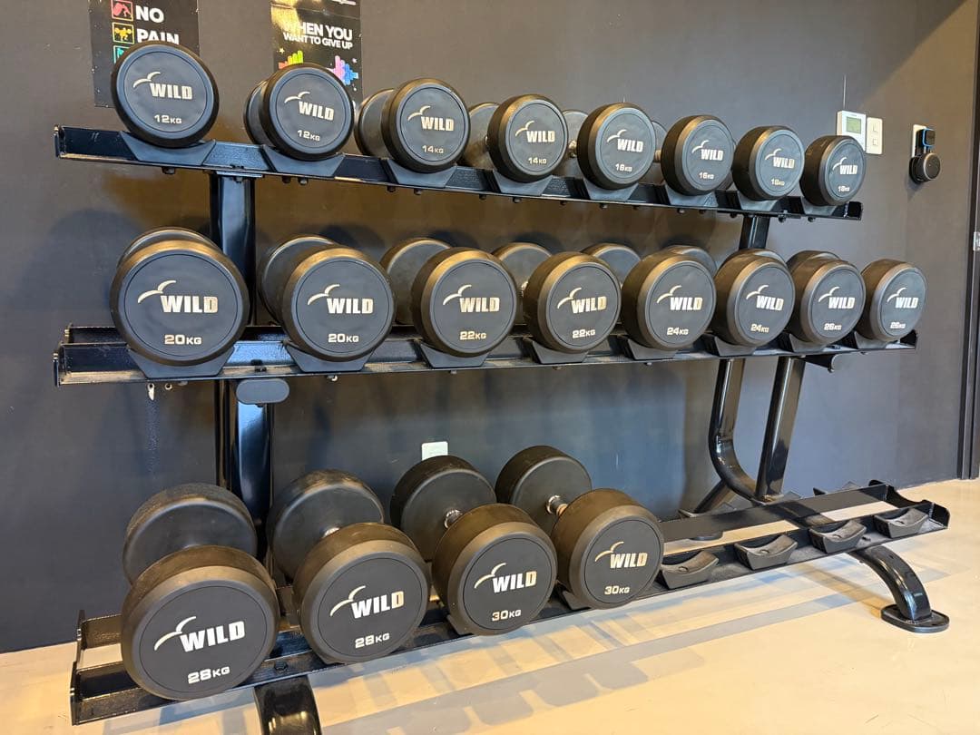 WILD 固定式ダンベルセット 12kg〜30kg ラック付き 2kg刻み