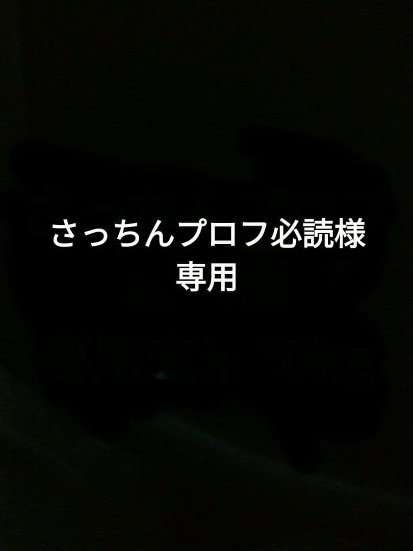 さっちんプロフ必読