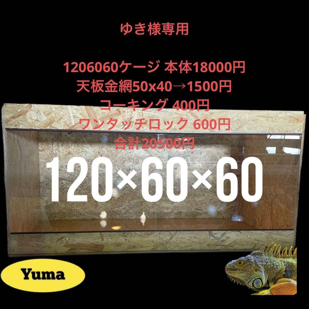 ゆき　1206060