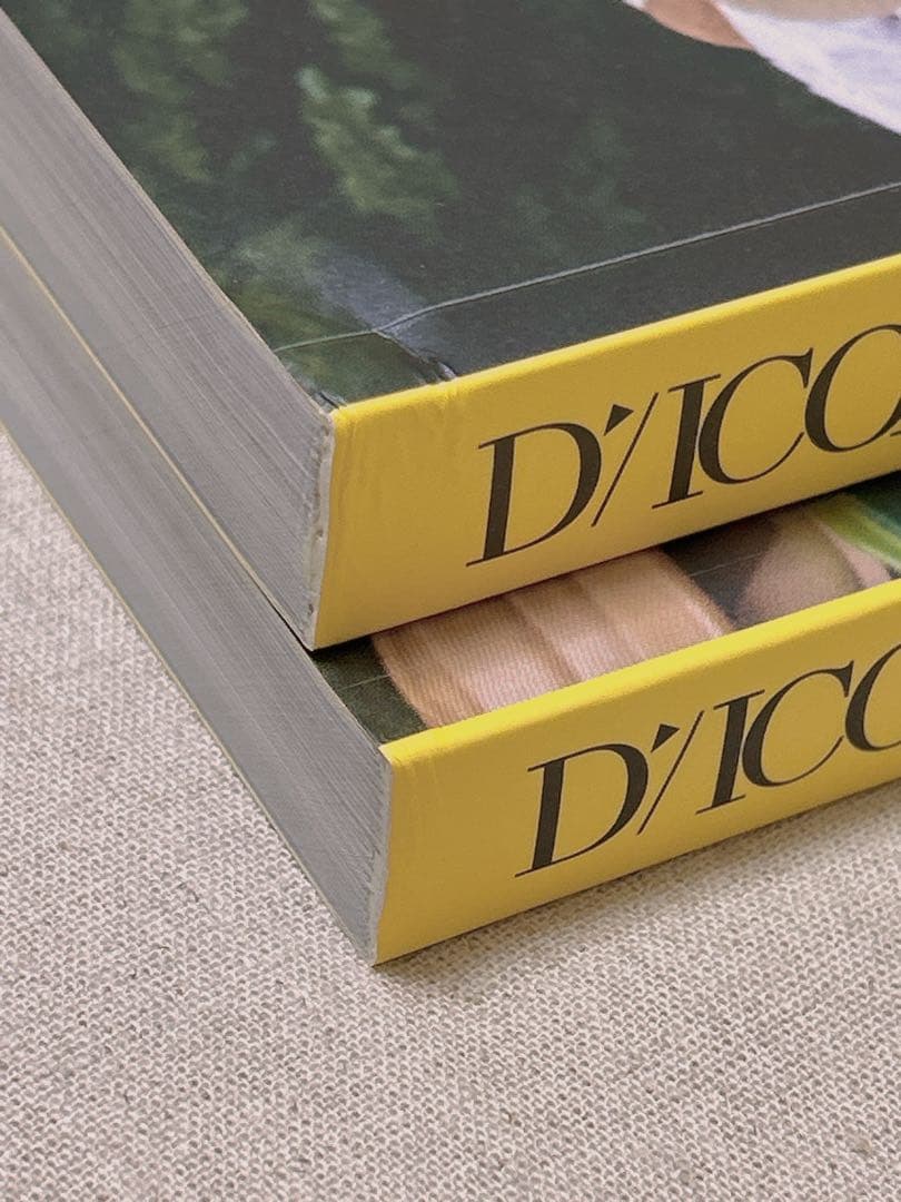 SEVENTEEN Dicon エスクプス 2種類